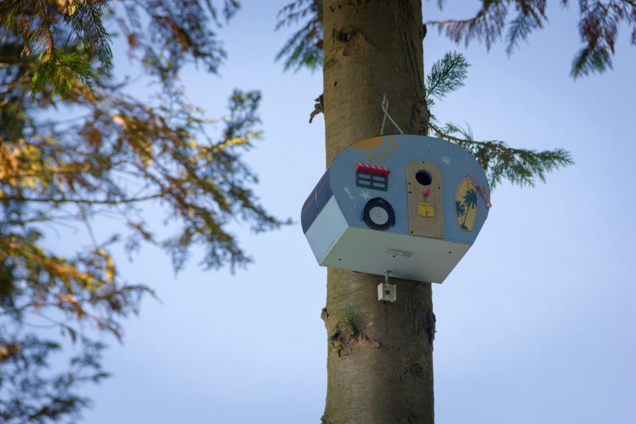 Camping Het Vossenhol エルメロ エクステリア 写真
